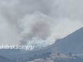 Φωτιά σε εξέλιξη στο Ορθοβούνι Καλαμπάκας